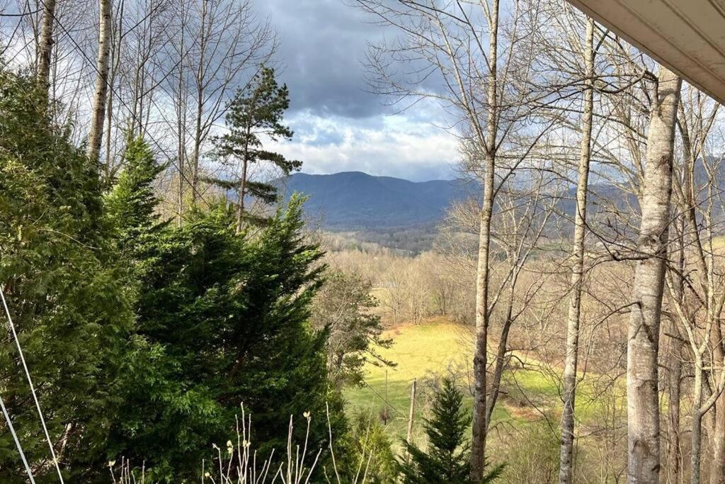 Misty Mountain Cottage Уейнсвил Екстериор снимка